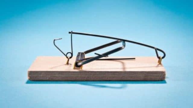 Le rêve de souricière et sa signification: Que signifie rêver de souricière ?