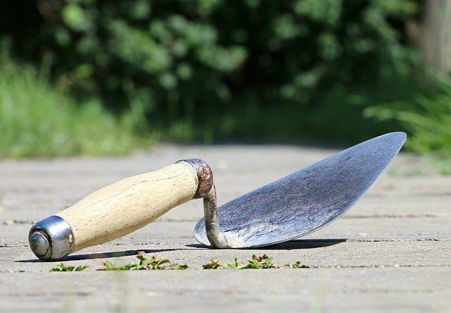 Le rêve de spatule et sa signification: Que signifie rêver de spatule ?