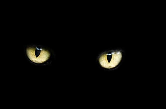 Le rêve de superstition et sa signification: Que signifie rêver de superstition ?