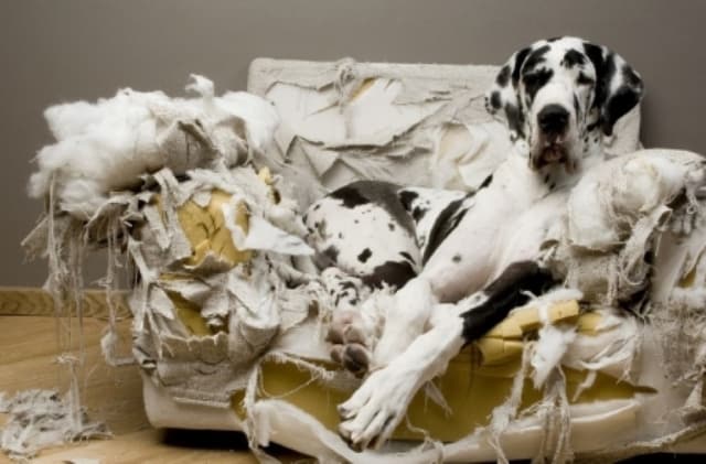 Le rêve de gronder et son explication en détails: Que signifie rêver de gronder ?