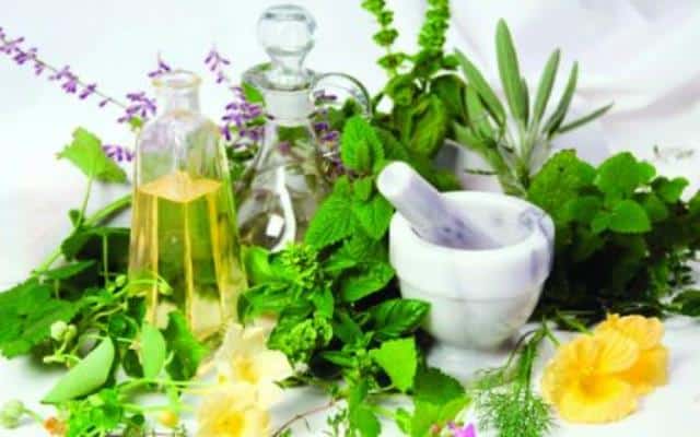 Pourquoi rêver de herboriste ?