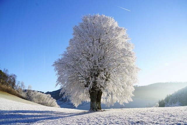 Un rêve d'hiver et sa signification: Pourquoi rêver d'hiver ?