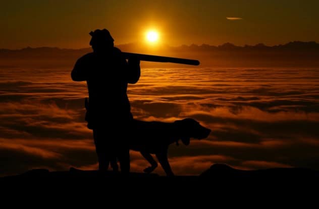 Un rêve de chasse et sa signification: Pourquoi rêver de chasse ?