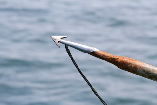 Un rêve de harpon et sa signification: Que signifie rêver de harpon ?