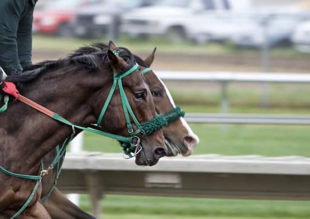 Un rêve de hippodrome et sa signification: Pourquoi rêver de hippodrome ?
