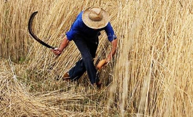 Un rêve de faucher et sa signification exacte: Que signifie rêver de faucher ?
