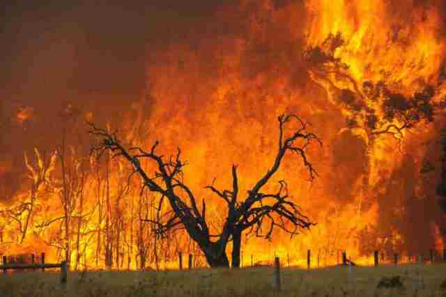 Un rêve d'incendie et sa signification: Que signifie rêver d'incendie ?