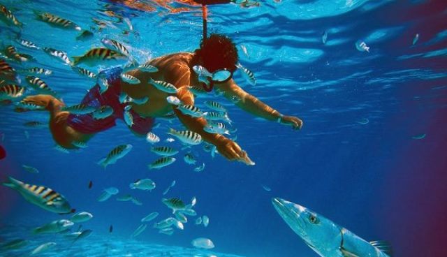 Un rêve de nager avec des poissons et sa signification: Que signifie rêver de nager avec des poissons ?