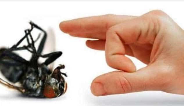 Que signifie rêver d'agacer ?