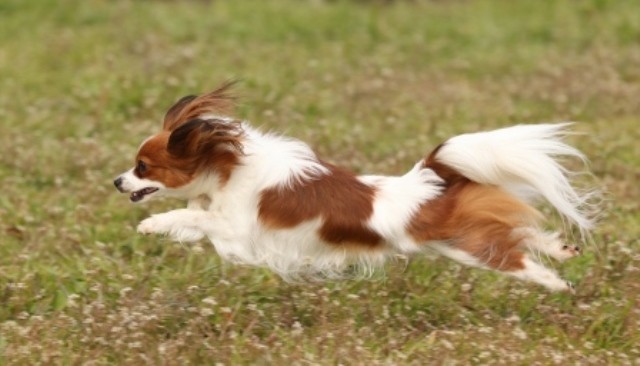 Un rêve d'agir et sa signification: Que signifie rêver d'agir ?