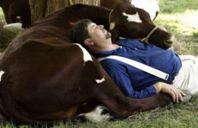 Un rêve d'agriculteur et sa signification: Que signifie rêver d'agriculteur ?