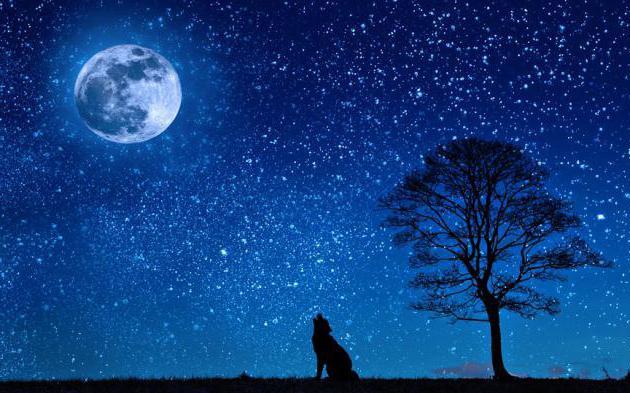 Un rêve d'étoiles et sa signification: Que signifie rêver d'étoiles ?