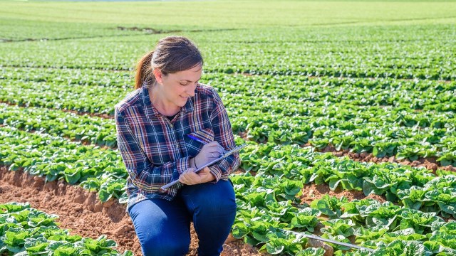 Un rêve d'agronomie et sa signification: Que signifie rêver d'agronomie ?