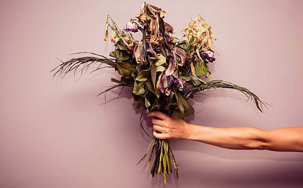 Un rêve de fleurs fanées ou mortes et sa signification: Que signifie rêver de fleurs fanées ou mortes ?