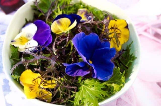 Un rêve de manger des fleurs et sa signification: Que signifie rêver de manger des fleurs ?