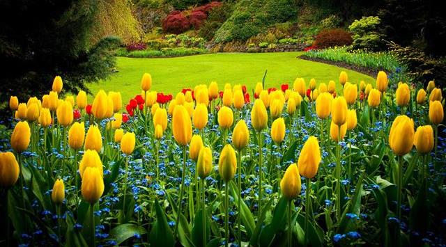 Un rêve de parterre et sa signification: Que signifie rêver de parterre ?