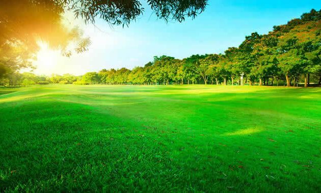 Que signifie rêver de pelouse ?