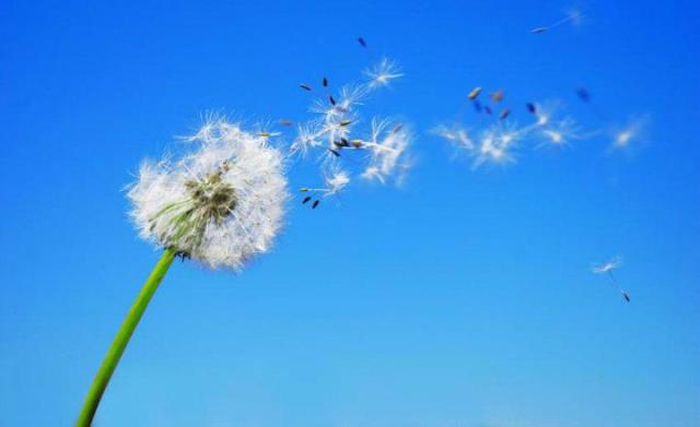 Un rêve d'air et sa signification: Que signifie rêver d'air ?