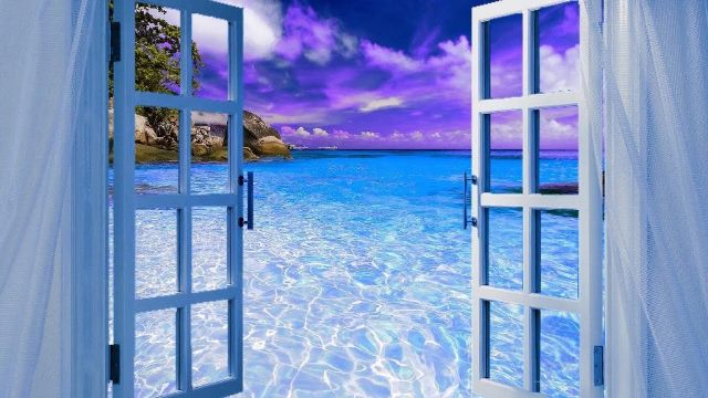 Un rêve d'alizé et sa signification: Que signifie rêver d'alizés ?