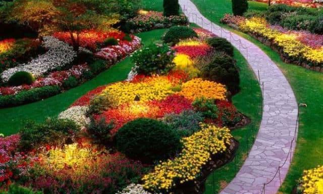 Un rêve d'allée et sa signification: Que signifie rêver d'allée ?