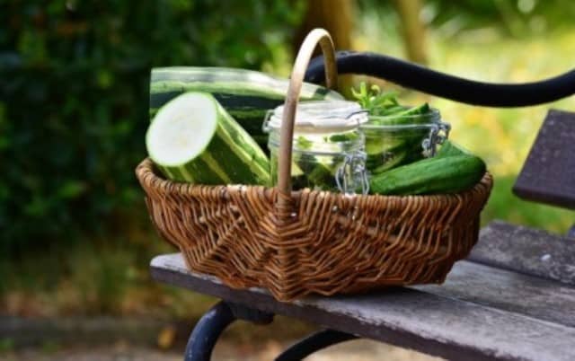 Que signifie rêver de panier ?