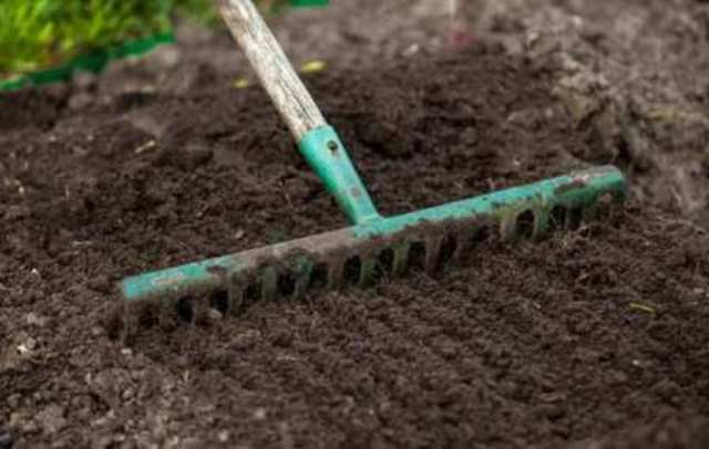 Un rêve de ratisser et sa signification: Que signifie rêver de ratisser ?