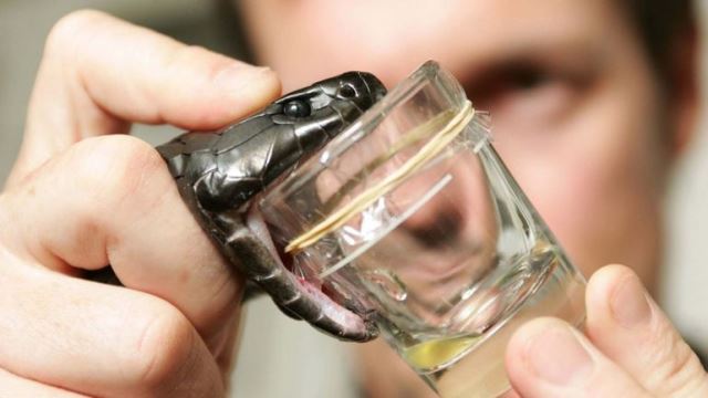 Un rêve d'antidote et sa signification: Que signifie un rêve d'antidote ?