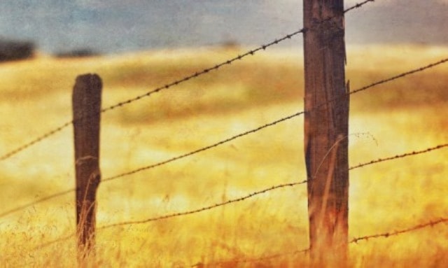 Un rêve de pieu et sa signification: Que signifie rêver de pieu ?