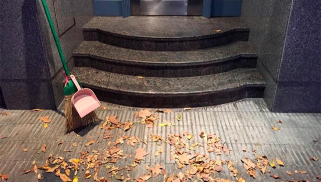 Un rêve de balayer des feuilles mortes et sa signification: Que signifie rêver de balayer des feuilles mortes ?