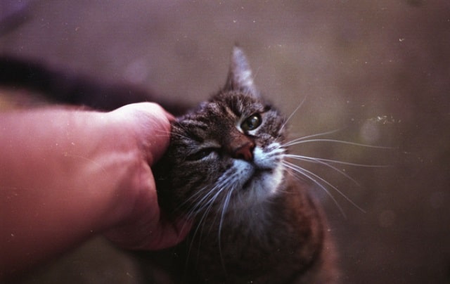 Que signifie rêver de caresses ?