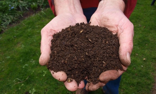 Un rêve de compost et sa signification: Que signifie rêver de compost ?