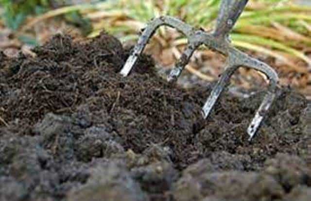 Un rêve de fumier et sa signification: Que signifie rêver de fumier ?