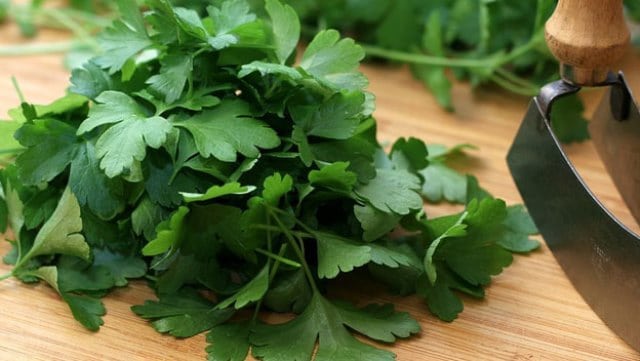 Un rêve de persil et sa signification: Que signifie rêver de persil ?