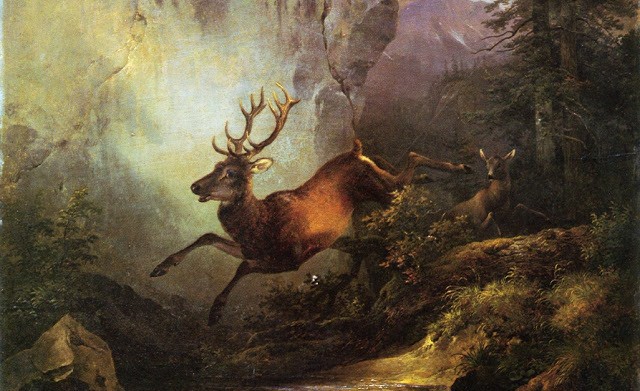 Que signifie rêver de biche blessée ?