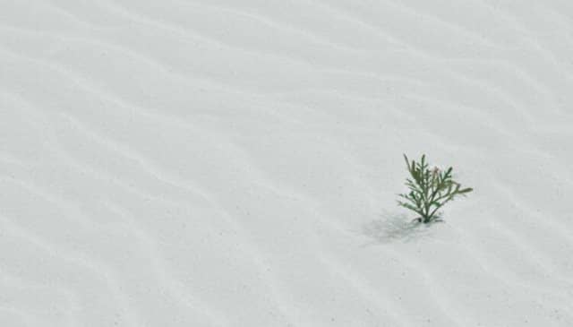 Pourquoi rêver de sable blanc ?