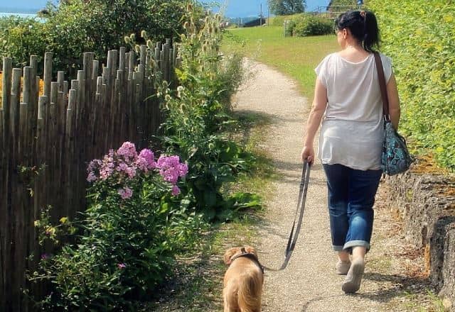 Que signifie rêver de flâner ?